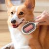 Cat Brush Accessories Products Grooming for Cats Massager Hairs Comb Cat Sticky Brush Hair Dog Brush Removes Hairs Kittens Goods