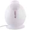 K-SKIN KD233 Nano Hot Mist Facial Steamer
