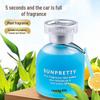 Long-Lasting Car Aromatherapy Ornament with Light Fragrance for Men and Women