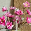 Artificial Magnolia Flower Silk Magnolia Branch For Home Living Room Decoration Fake Flower Plant Table Wedding Party Decor