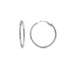 Rhodium-plated Luxenter Earrings - Shashe