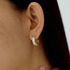 Synesthetic Pcs Veining Earring