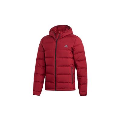 Dış Mekan Slim Fit Kapüşonlu Kaz Tüyü Mont Erkek Dış Giyim DZ1426