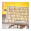 XVX Prism Translucent Cherry Profile PBT Keycap Double Shot 142 Keycaps for Mechanical Keyboards White Set, Keys, Shine-Through 60%/75%/100% -