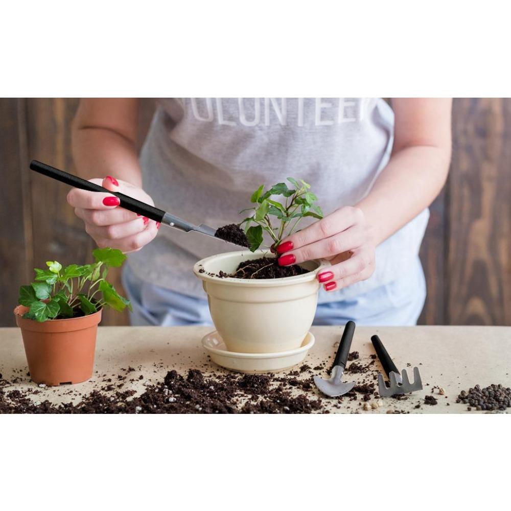 Sada stromků bonsají, sada nástrojů na bonsaje, sada sukulentů, sada 16 kusů, sada zahradního ručního nářadí