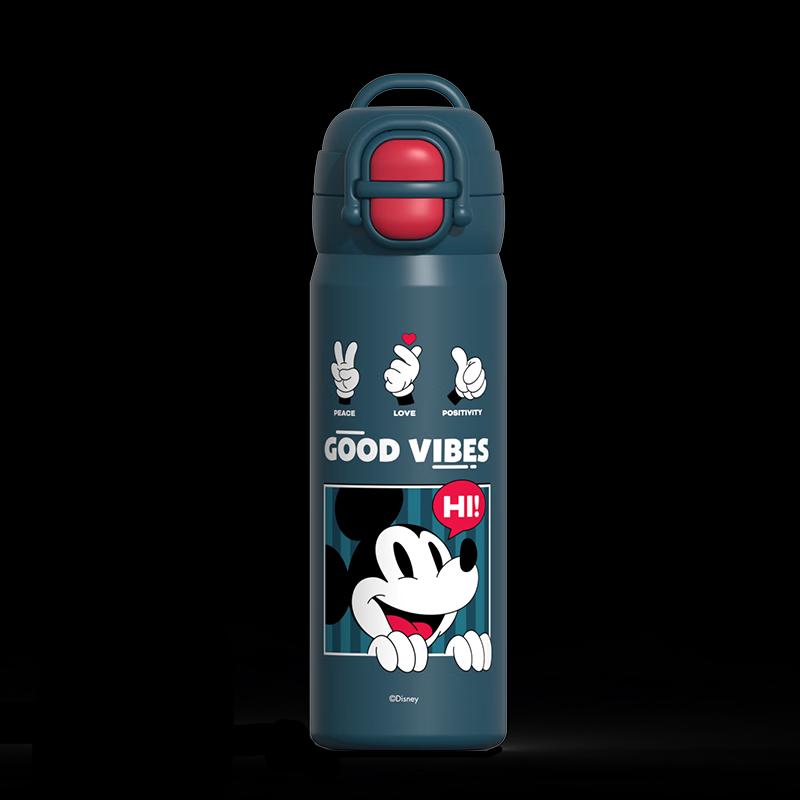 Disney 316 Stainless Steel Dual-Drink Insulated Kids Water Bottle 600ml