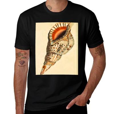 Sea Shell TShirt Outdoor Activity Sports TShirt