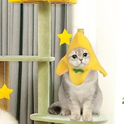 Katte – Tøj til katte