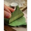 Leaf Shaped Sticky Note Back To School