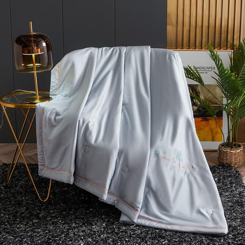 

Arctic Velvet Summer Quilt