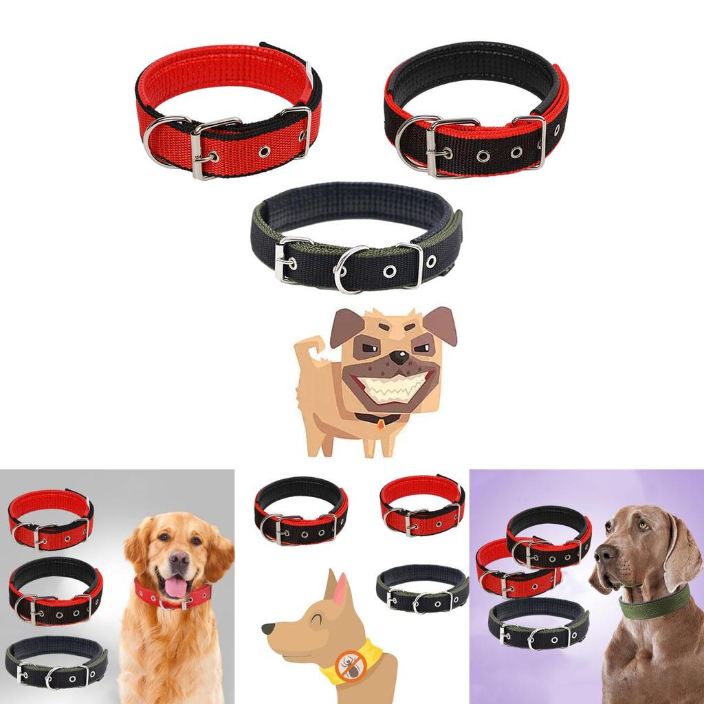 Pet Collar Made Of Pp Polypropylene Breathable And Comfortable Suitable For All Seasons