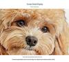 Custom Decorative Cute Dog Teddy Frameless Wall Painting for Living Room or Bedroom
