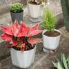 5x Blumentöpfe Pflanztöpfe Geschenk mit tiefem Wasserreservoir Selbstbewässernde Pflanztöpfe für Gärtner Mama Garten Hof Innenhof Gartenarbeit
