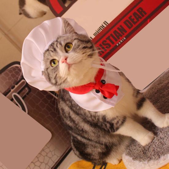 1 Set Pet Hat Soft Buckle Adjustment Funny Comfortable Attractive Dress Up Polyester Chef Appearance Pet Transformation Costume Party Supply