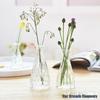 European Glass Vase for Fresh or Dried Flowers - Elegant Hydroponic Decoration Ornament