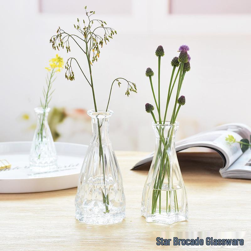 European Glass Vase for Fresh or Dried Flowers - Elegant Hydroponic Decoration Ornament