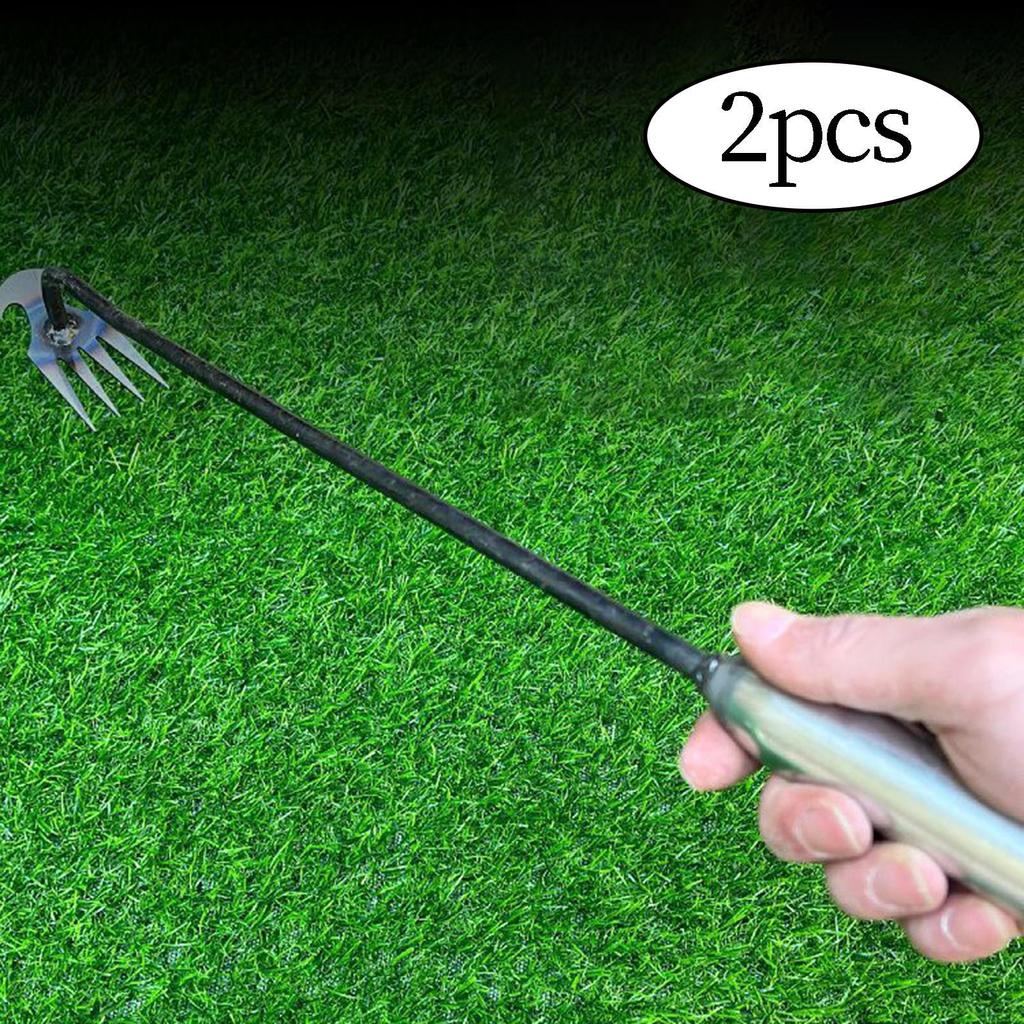 Stainless Steel Weeder for Lawn And Garden Maintenance