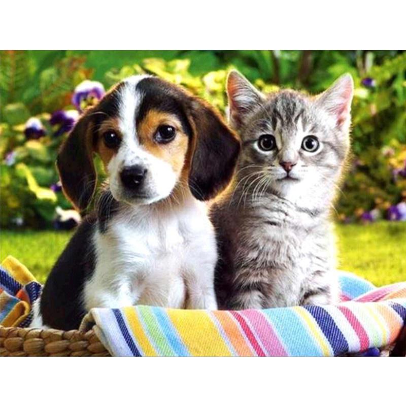 Kit Pittura Diamanti 5D Fai Da Te Cane Colorato - 30x40cm - Attività Antistress Con Tela E Strass Rotondi Per Adulti E Bambini