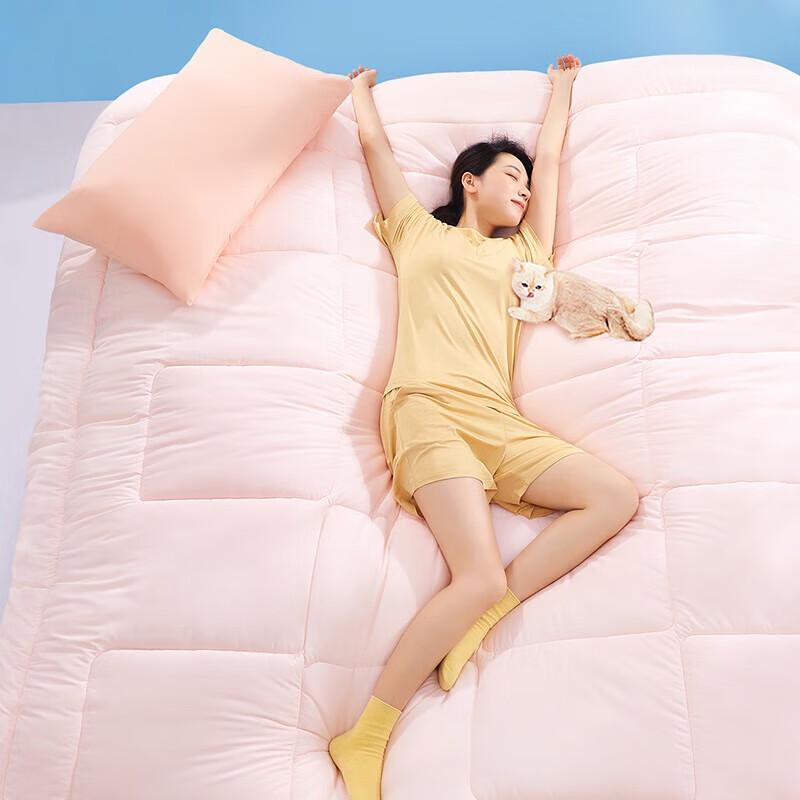 

Fuanna Seven-Hole Anti-bacterial All-Season Fiber Quilt