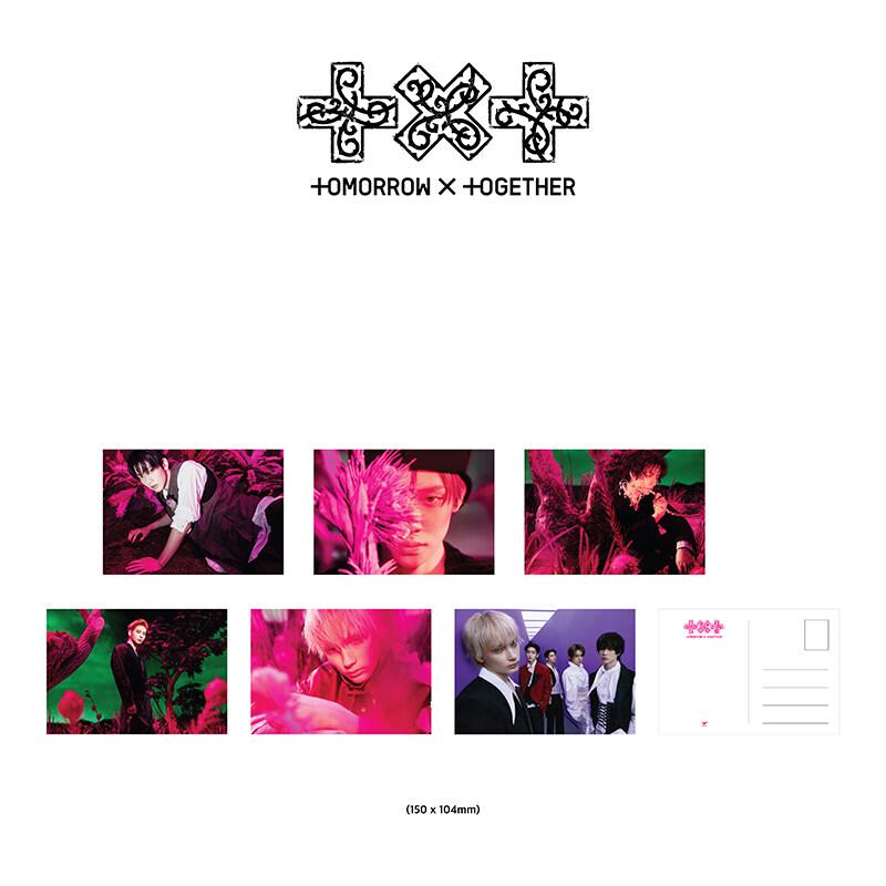 [Przedsprzedaż] TXT - [7. ROK: Kiedy Wiatr Ustaje w Cierniach] Etui na Fotokartki Wersja. (Korzyść online)