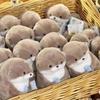 Niedlicher kleiner Otter-Anhänger mit Fischmotiv, Plüschpuppe, Geschenkidee, Herz-Schlüsselanhänger, kreatives Geschenk