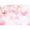 Frühlingsrosa Blumen Hintergrund Glitzer Licht Bokeh Floral Kirschblüte Neugeborenes Baby Porträt Fotografie Hintergrund Fotostudio