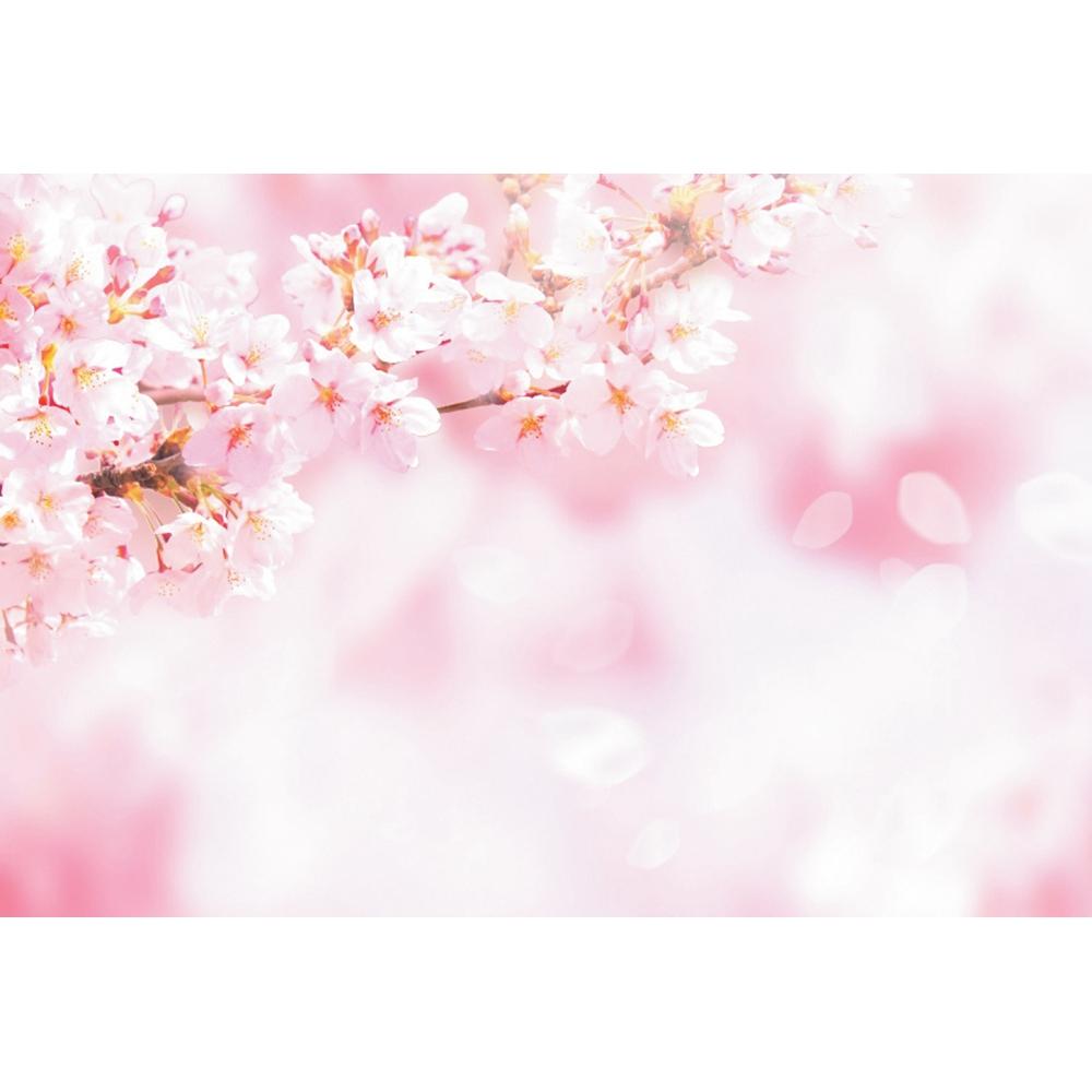 Frühlingsrosa Blumen Hintergrund Glitzer Licht Bokeh Floral Kirschblüte Neugeborenes Baby Porträt Fotografie Hintergrund Fotostudio
