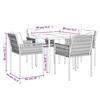 VidaXL Garden Dining Set 5 Pcs Cushions Wicker Steel, Dining Set, Outdoor Dining Set, 3187052