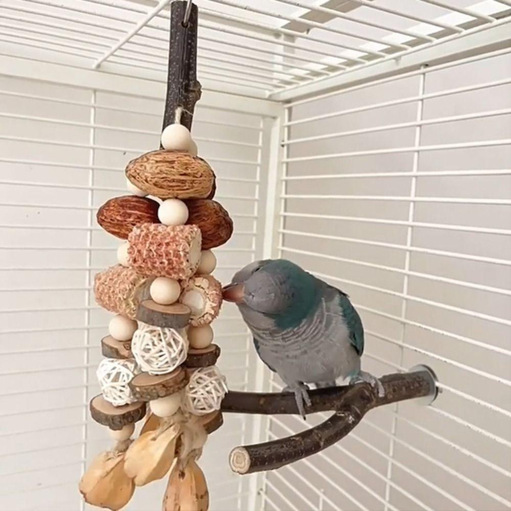 Natural Wood Bird Wood Nut Toy Corncob Bite Training Toy Parrot Chewing Toy  For Birds