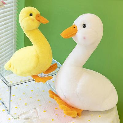 Bebek ve Peluş Oyuncaklar – Doldurulmuş ve Peluş oyuncak hayvanlar
