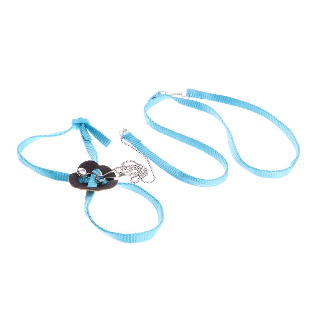 Buy Small Animals Adjustable Harness Walking Leash for Hamsters Rabbit