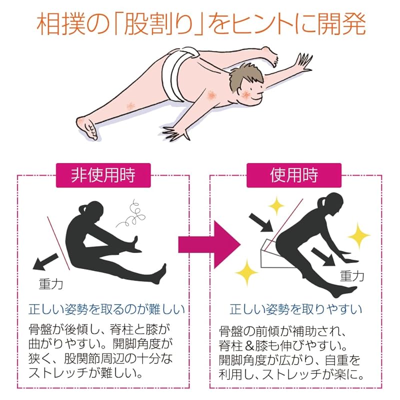 Santeplus Flex Cushion (Black) FC-A402K Black