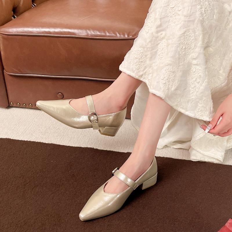 Fashion Retro Elegant Casual Mary Jane Women's Shoes 2025 Spring New Point Head Coarse Heel Shallow Mouth Pumps Comfortable Single Shoes