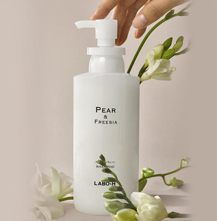 LABO-H Haarausfall Linderung Kopfhaut Stärkendes Shampoo 400ml (2 Arten) / Blanche&Woody / Birne&Freesie
