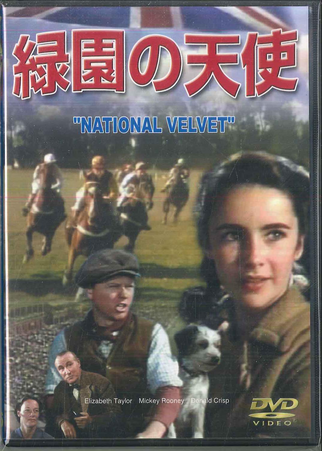 

DVD КЛАРЕНС БРАУН Ангел Зеленого Сада ART0032 ART STATION Японские Фильмы DVD Б/У