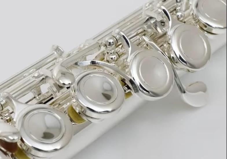 PLAYTECH Flute with Covered Keys, Nickel Silver, Silver-Plated Finish, with Case