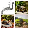 Rampa Antiscivolo Piattaforma per Tartarughe con Ventose Darsena Galleggiante per Tartarughe Acquario per Tartarughe