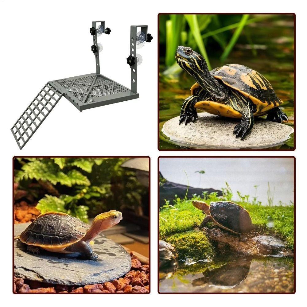 Rampa Antiscivolo Piattaforma per Tartarughe con Ventose Darsena Galleggiante per Tartarughe Acquario per Tartarughe