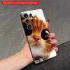 2DFlat Samsung Phone Case Ginger Cat Peeking Through Paper Applicable To Galaxy S23 S24 S25ULTRA S26 A12 A14 A15 A16 A54 A55