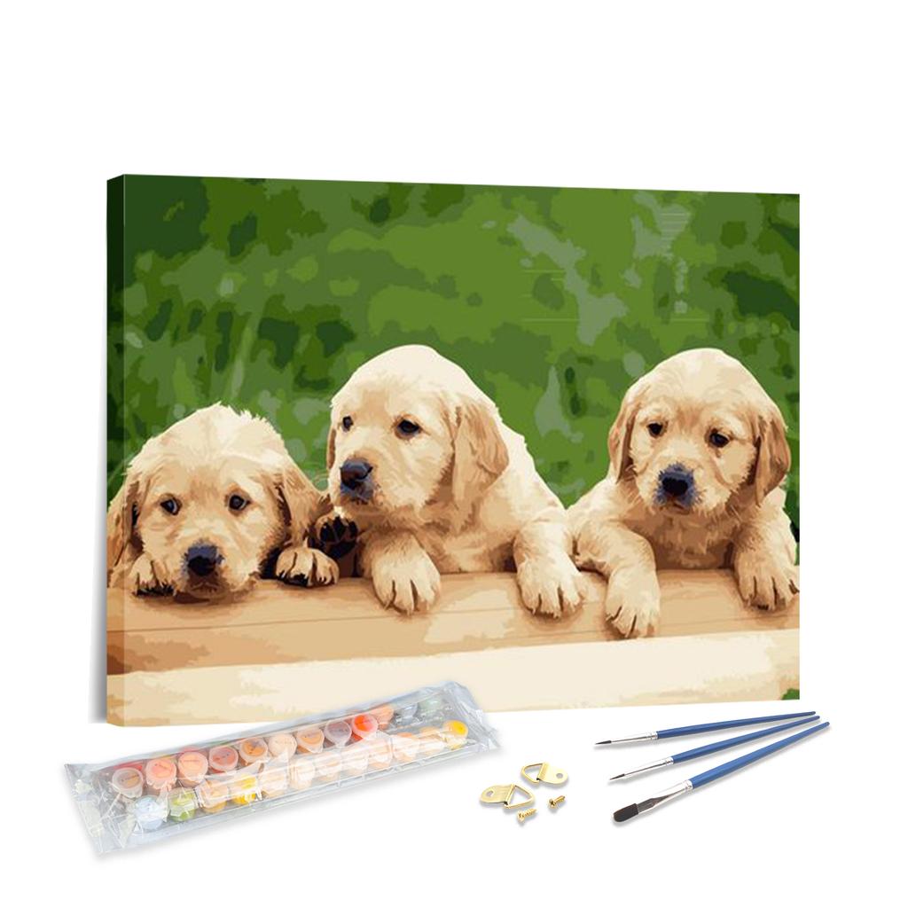 H-59 Paint by Numbers Kit Cute Golden Retriever Puppies DIY Acrylic Painting Home Wall Decor Pet Lover Gift