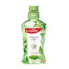 Jasmine Green Tea Mouthwash 500ml