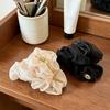 Hair Claw Clip Small Mesh Pleated Hair Claw Clip Lightweight Half-Tied Hair Accessory Strong Hold Non Slip Hair Clip for Women