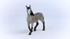 Schleich Horse Club 13955 Self-Flanket (female)