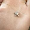 Simple Fashion Starfish Pendant Necklace for Women Elegant Pearl Clavicle Choker Necklace Spring Summer Jewelry Wholesale