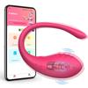Drahtloser Bluetooth-App-Vibrator für Frauen mit Fernbedienung, Ei, Klitorisstimulator, G-Punkt-Massagegerät, Sexspielzeug für Frauen, Erwachsene, Höschen