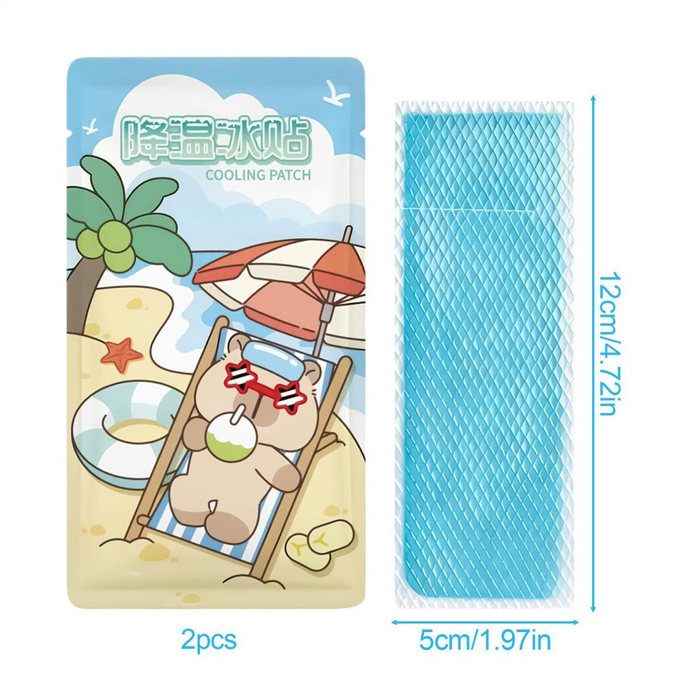 2Pcs Summer Cooling Patches for Hot Reducer Stickers Instant Relief Cooling Patch for Sports Travel Camping Hiking Walking