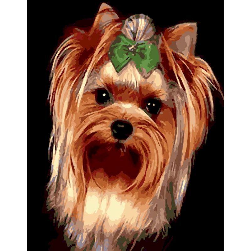 CHENISTORY Modern Painting By Numbers For Adults Animals Flower Coloring By Numbers Diy Set Living Room Decoration Unique Gift