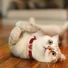 1pc Pet Collar with Rhinestone Heart & Bell Decoration, Cat Collar