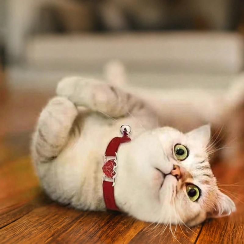 1pc Pet Collar with Rhinestone Heart & Bell Decoration, Cat Collar