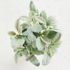 5Pcs Artificial Flocked Reusable Lambs Ear Faux with Stem Leaves Home Wedding Party Greenery Floral Arrangement